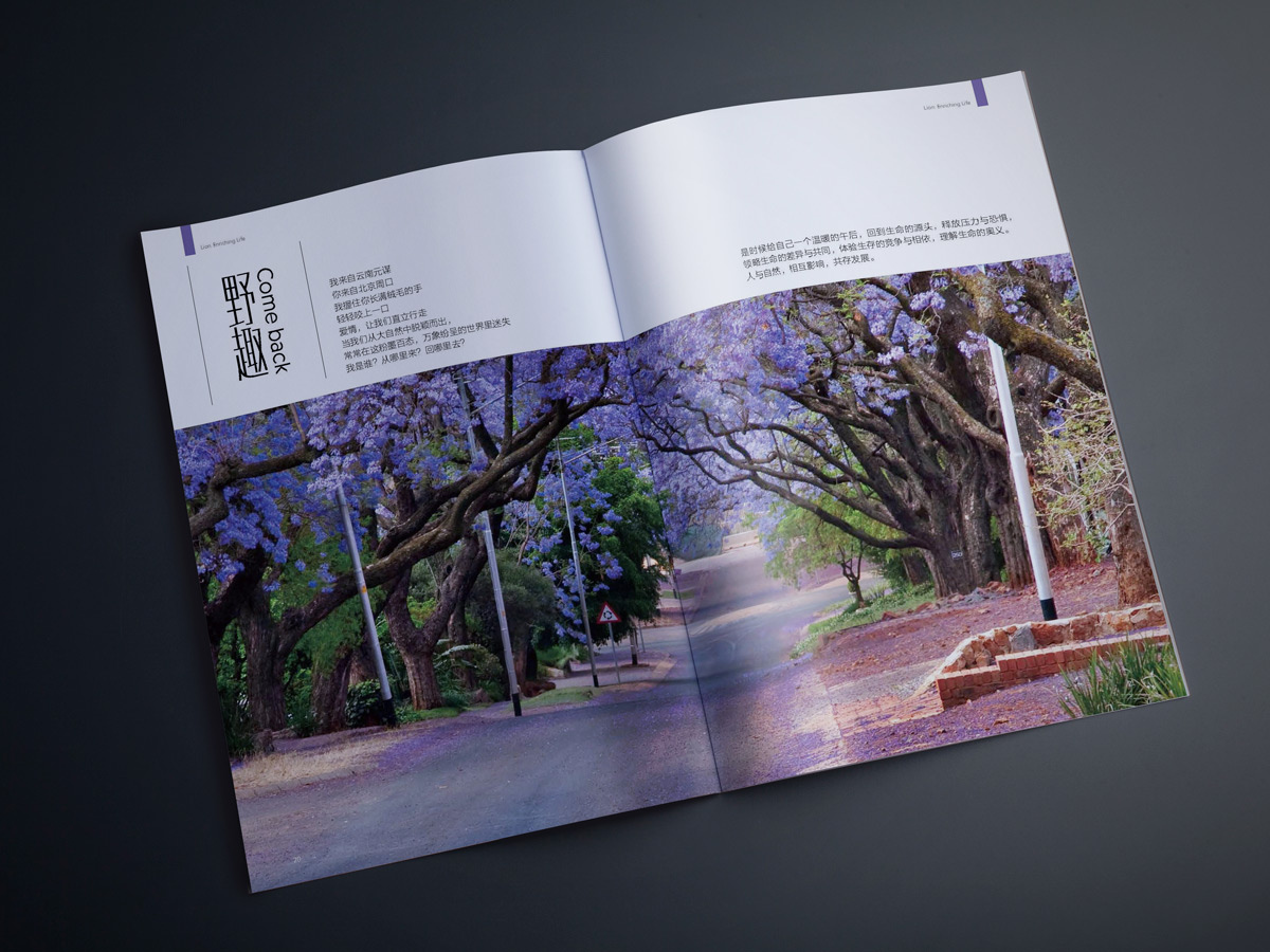 Travel Handbook
